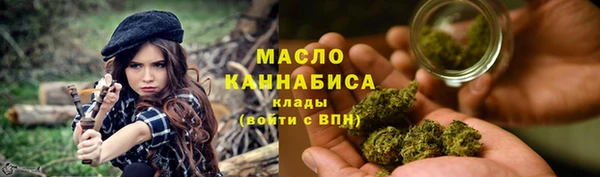 твердый Мегион