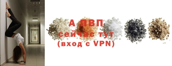 ПСИЛОЦИБИНОВЫЕ ГРИБЫ Михайловск
