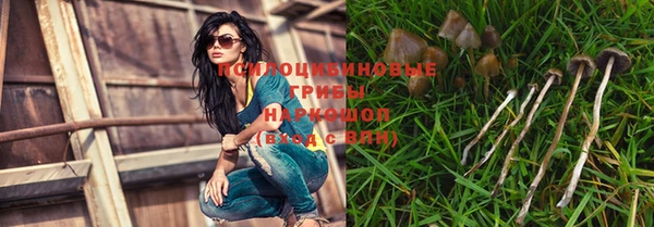 дурь Медногорск