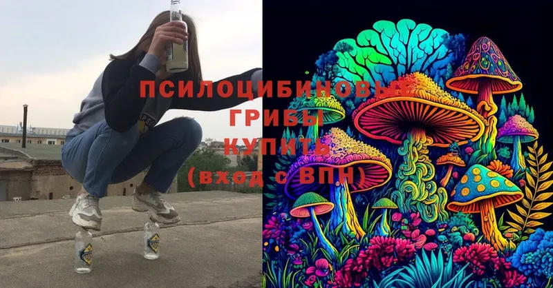 hydra маркетплейс  Мензелинск  Псилоцибиновые грибы Magic Shrooms 