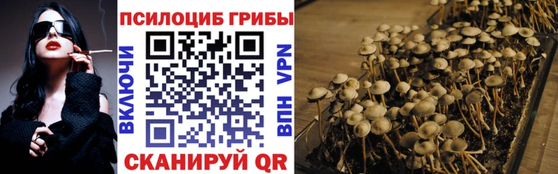 blacksprut ссылки  Мензелинск  Псилоцибиновые грибы Psilocybe  даркнет сайт 